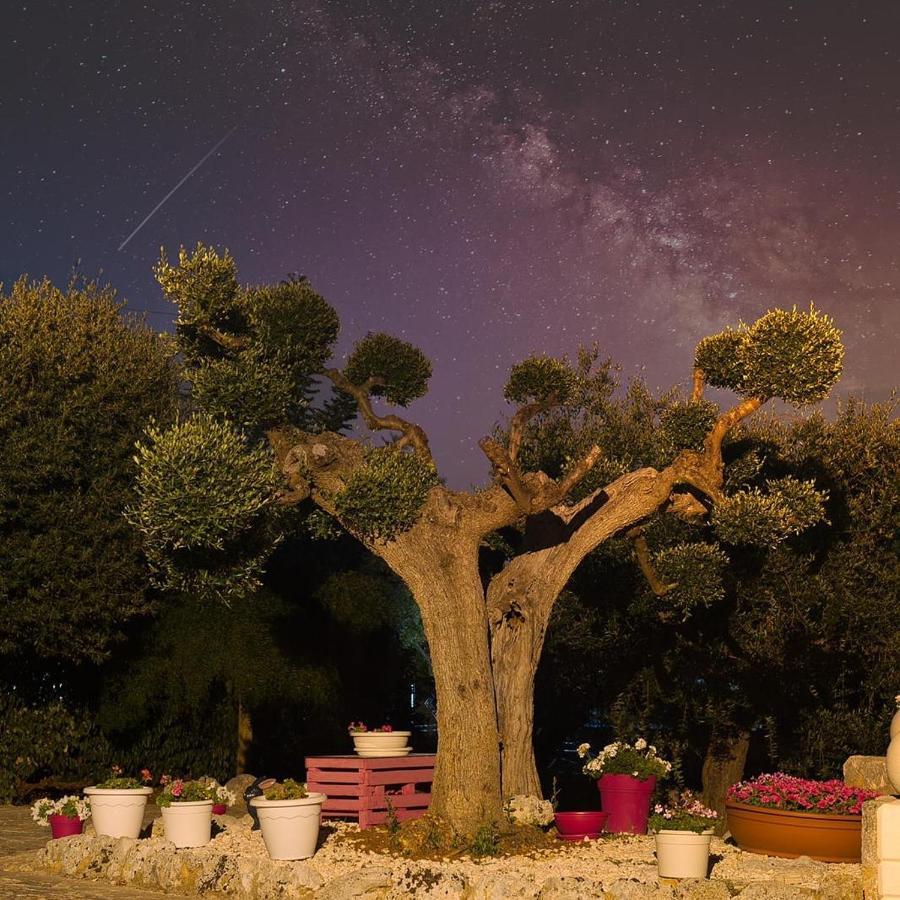 לוקורוטונדו Villa Dei Fiori מראה חיצוני תמונה